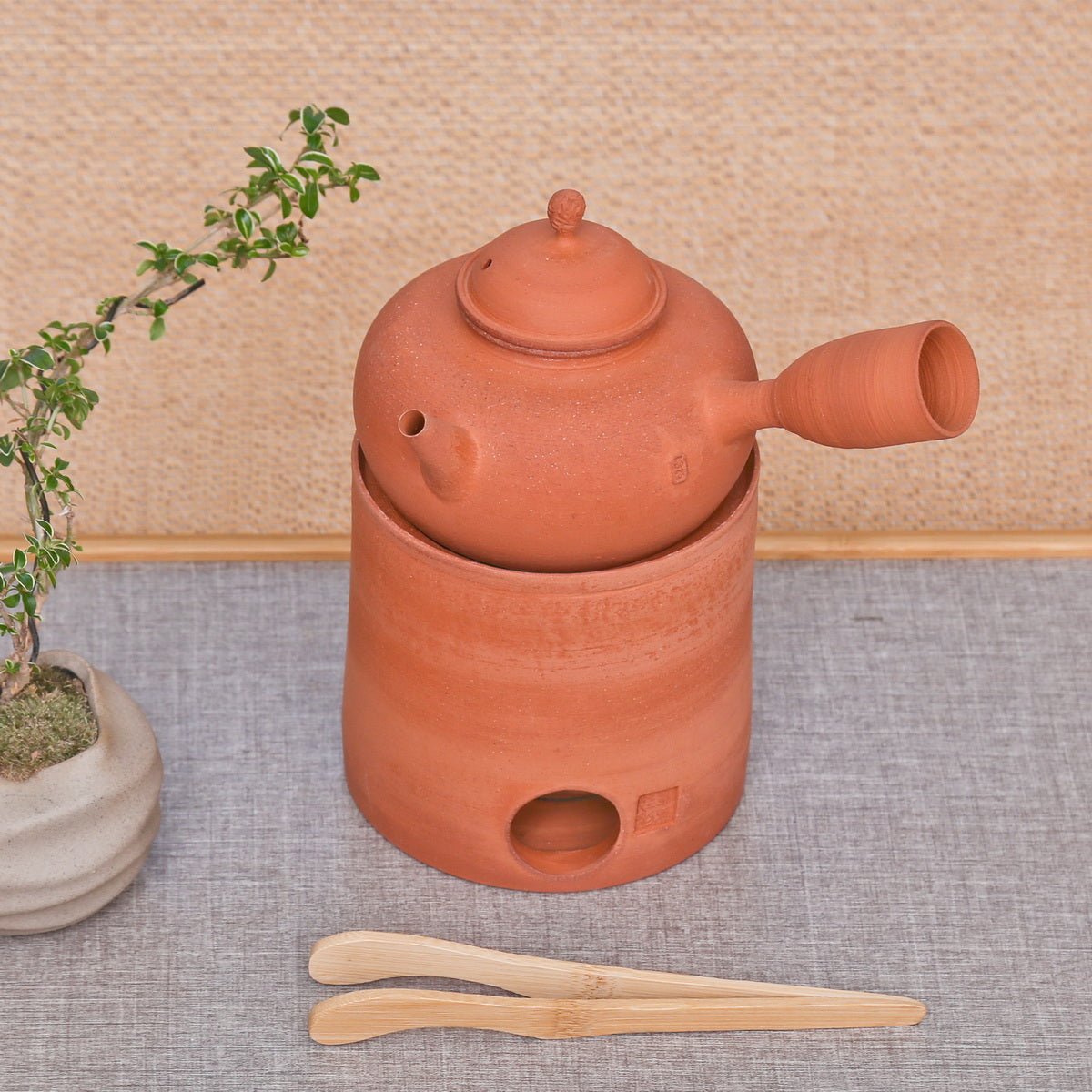 Chaozhou Kettle- ST11 - Taishan Tea Club