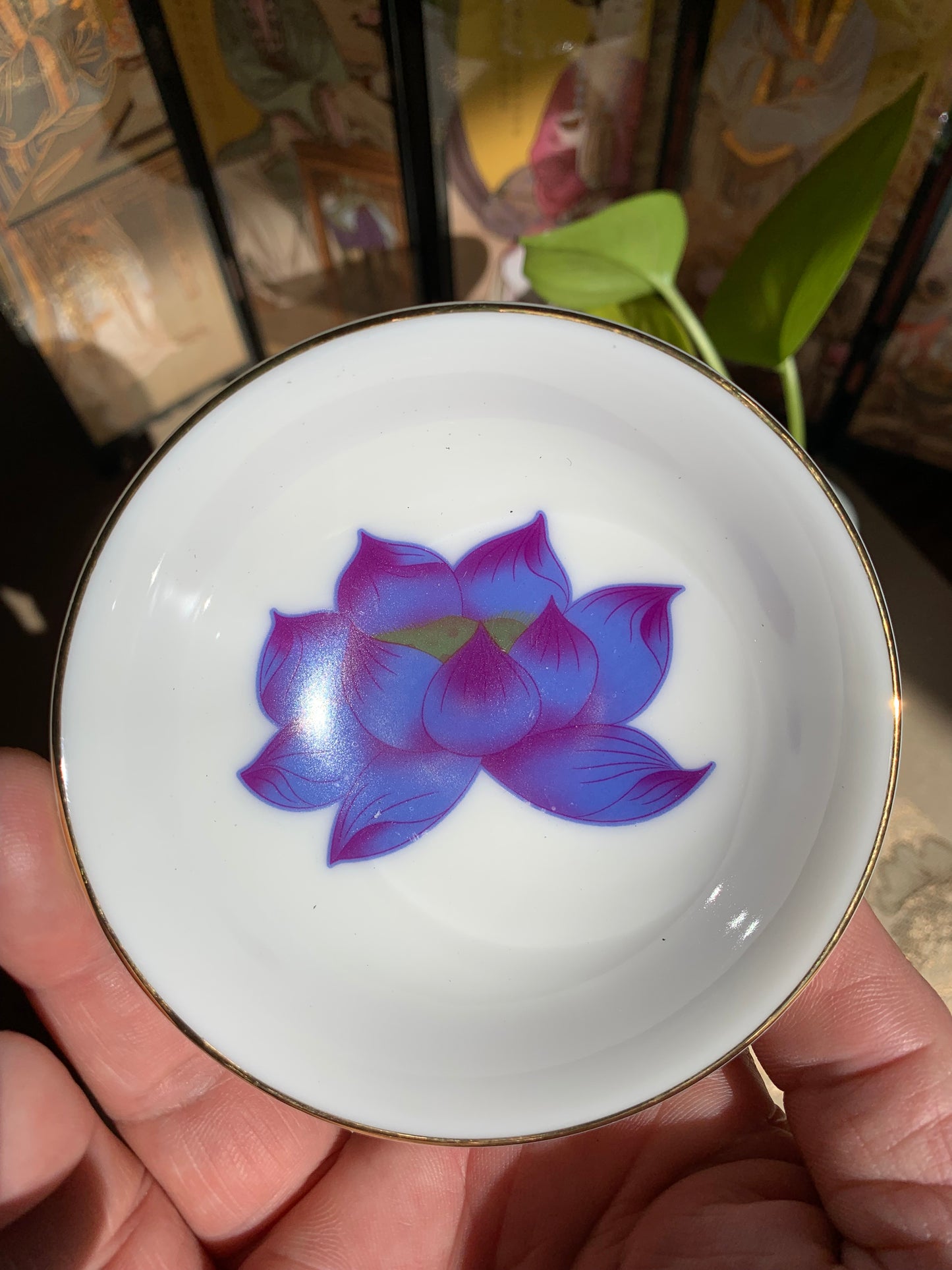 Magic Teacup--Pink Lotus Flower