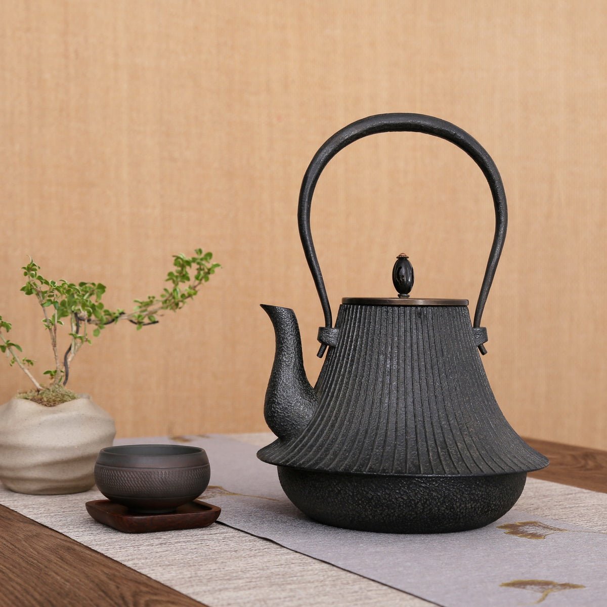 TS Iron Kettle - JQT3 - Taishan Tea Club